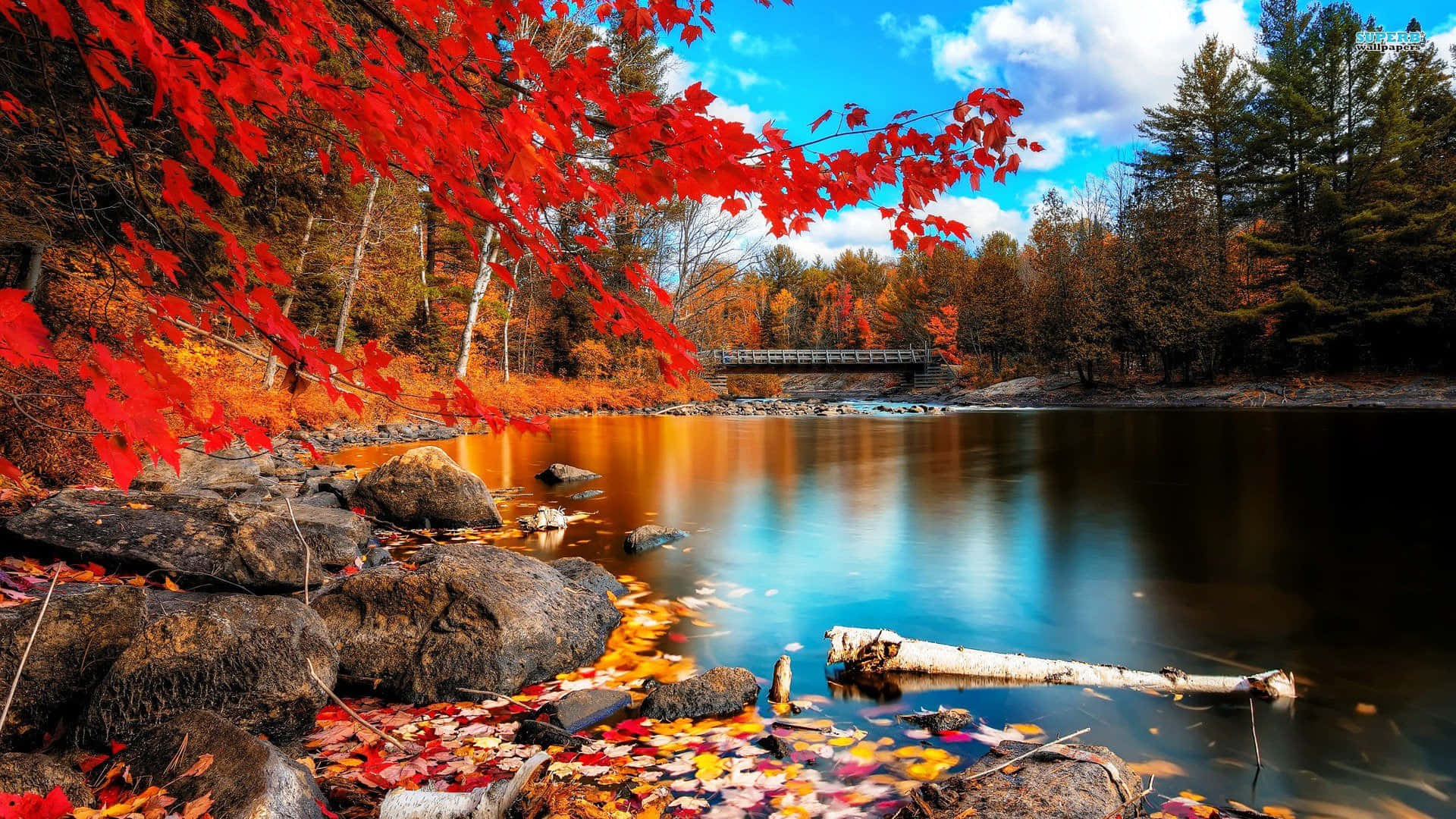 Caption: Charming Fall Town Scene in Vibrant Colors Wallpaper