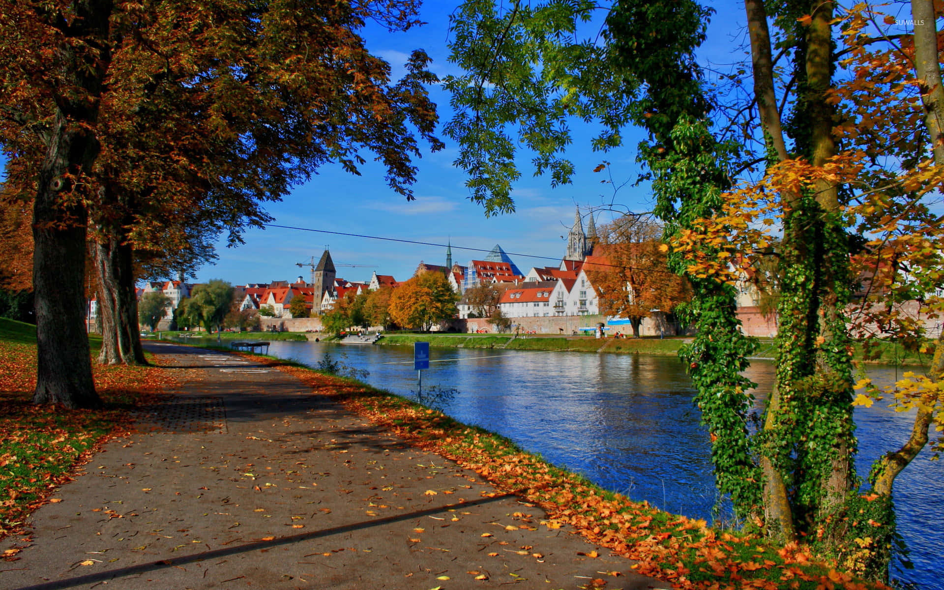 Fall Town: A Colorful Autumn Landscape Wallpaper