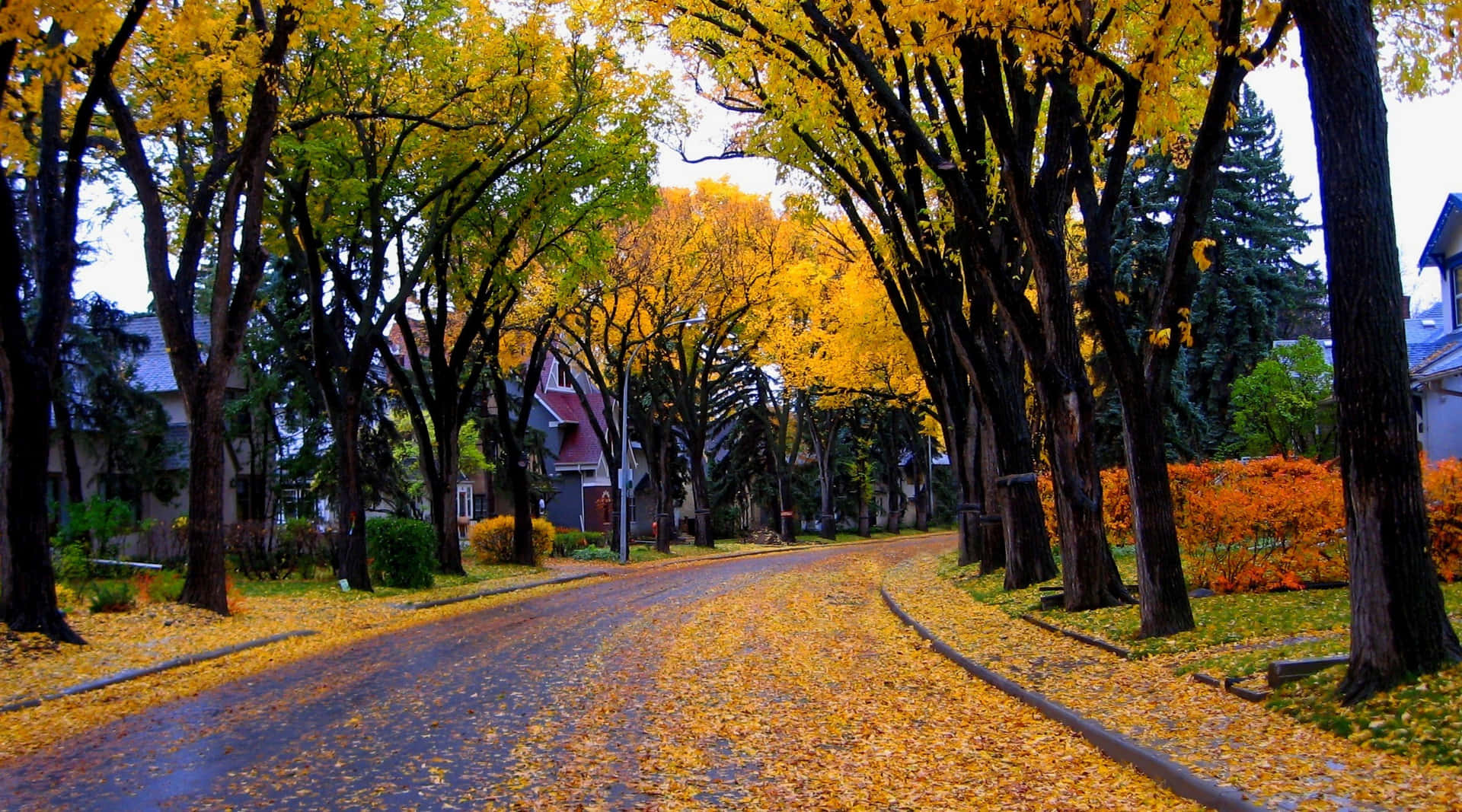 A Scenic View of Fall Town Wallpaper