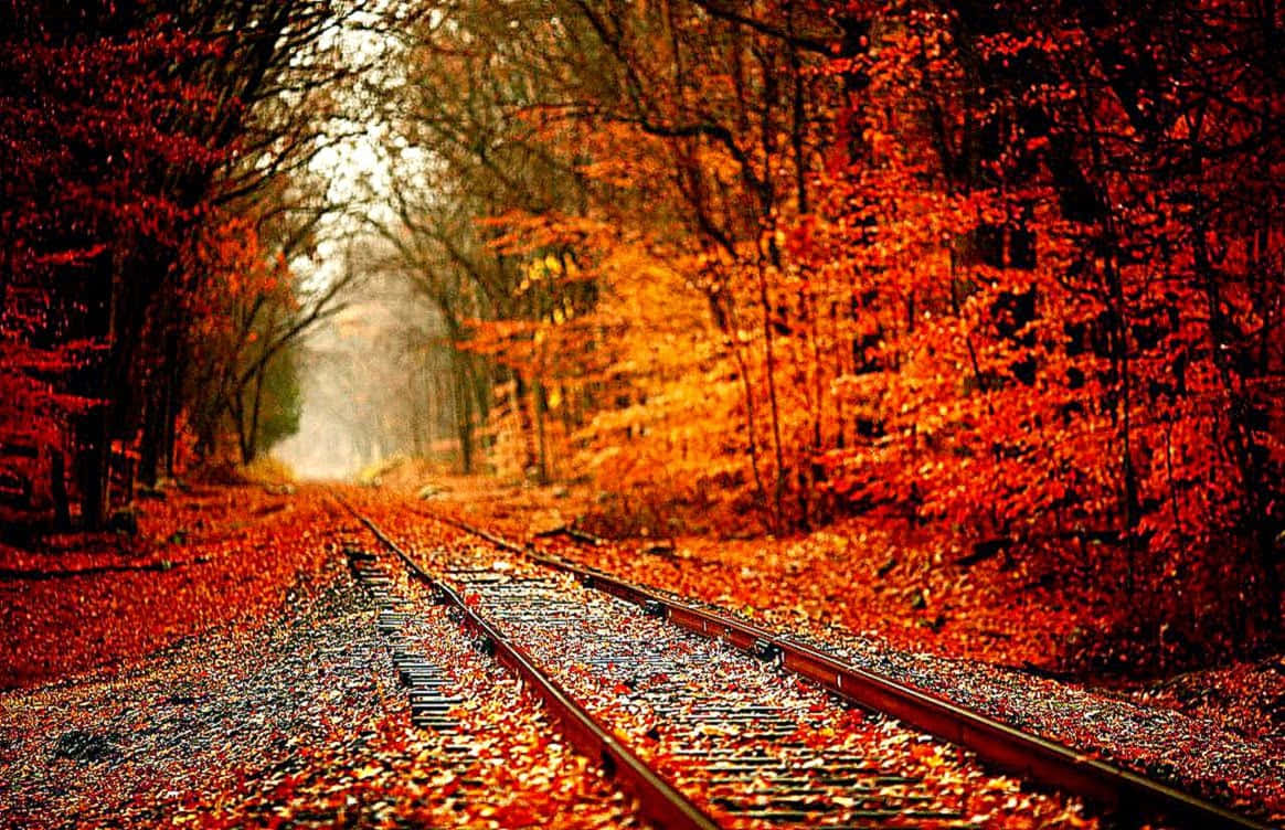 Train Track Fall Tumblr Wallpaper