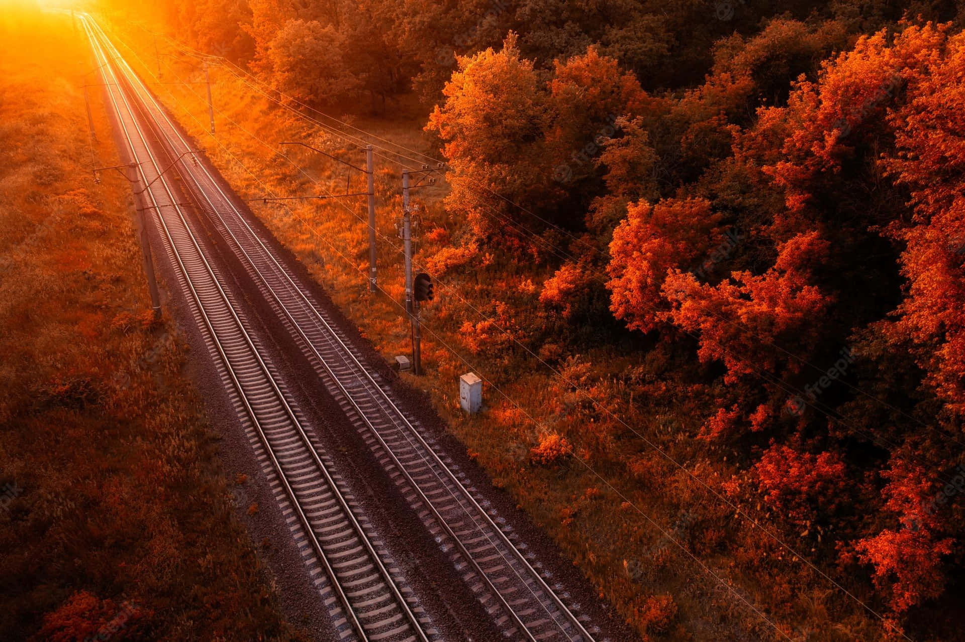 Fall Tumblr Train Rails In Forest Wallpaper