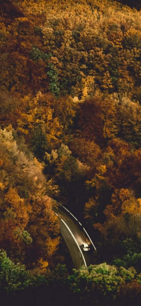 Herbsttumblr Auto Auf Der Straße Wallpaper