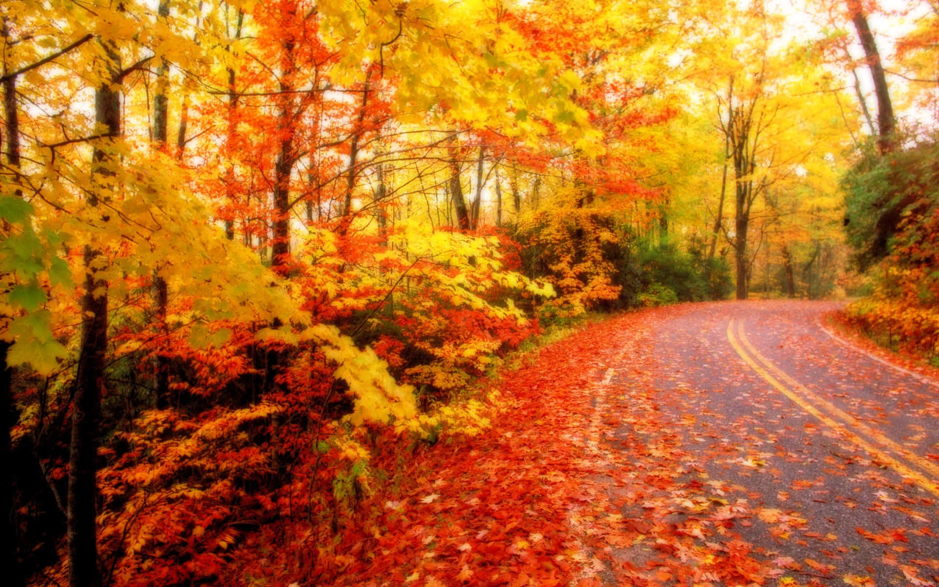Herbstlandschaftam Straßenrand Tumblr Wallpaper