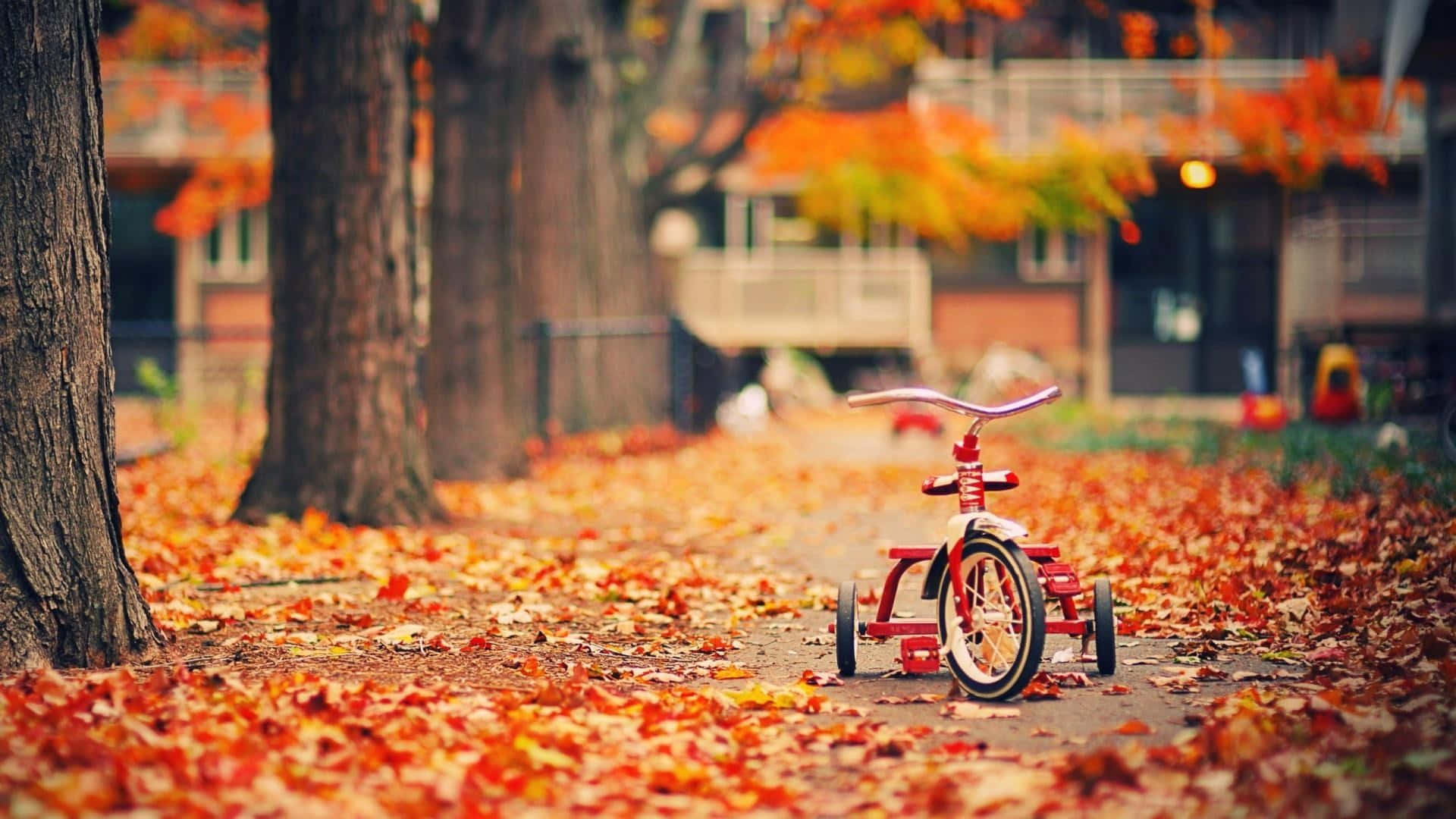 Herbsttumblr Kinder Fahrrad Neben Bäumen Wallpaper