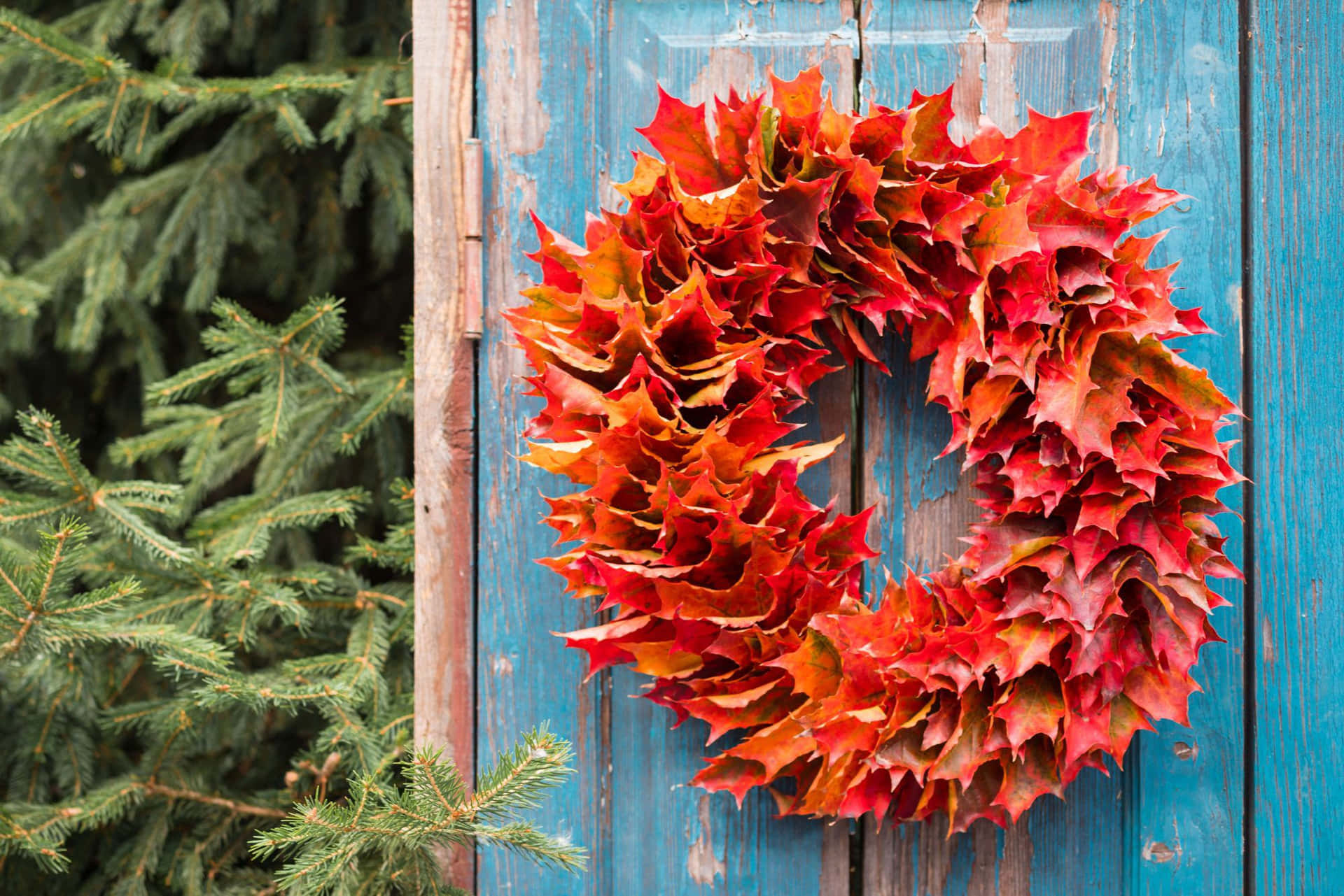 A beautiful and vibrant Fall wreath on a wooden front door Wallpaper