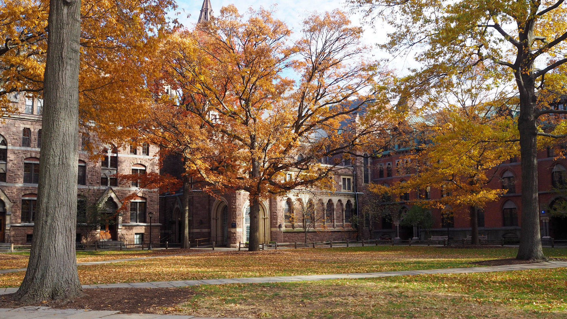 Herbstfoto Von Der Yale University. Wallpaper