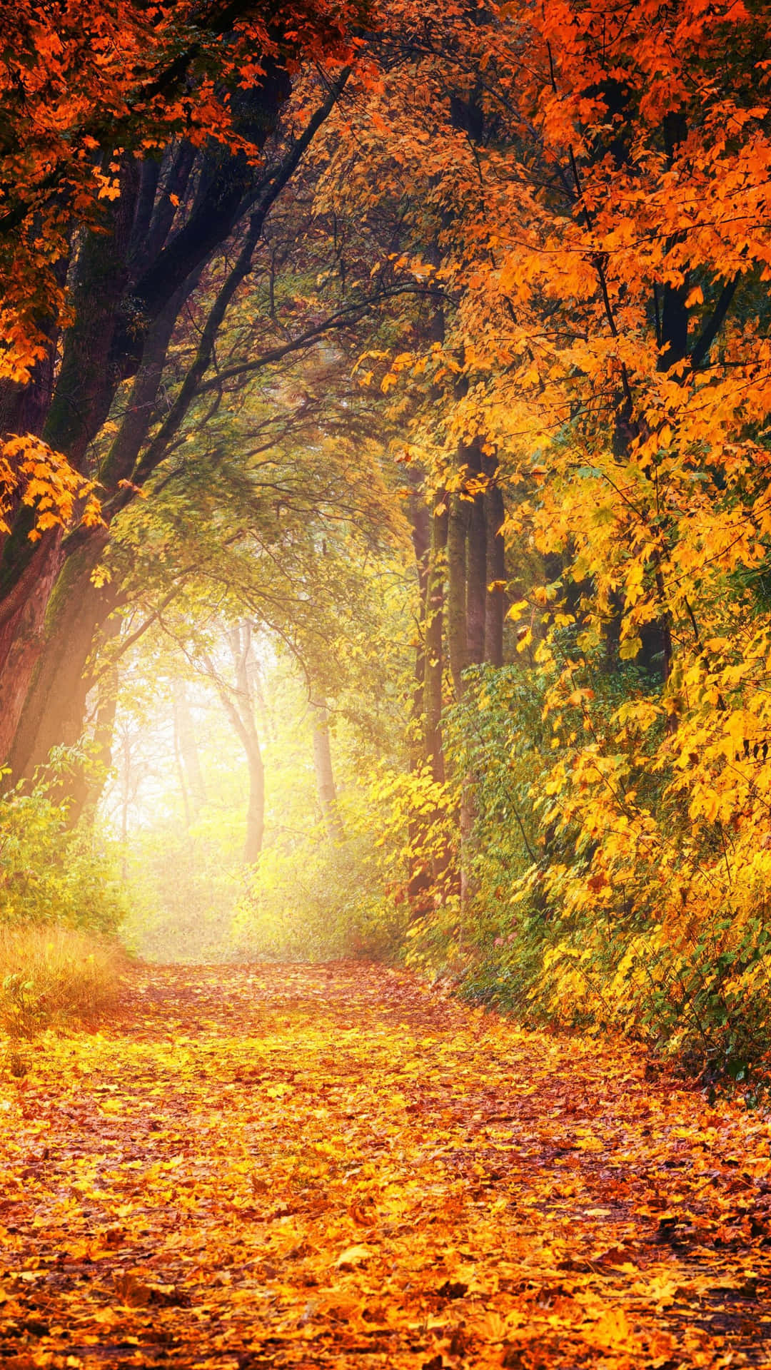 Tranquil Autumn Scenery Wallpaper