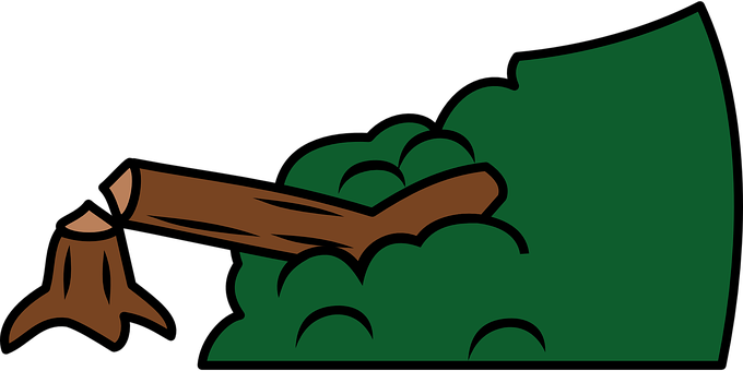 Fallen_ Tree_ Branch_ Vector_ Graphic PNG