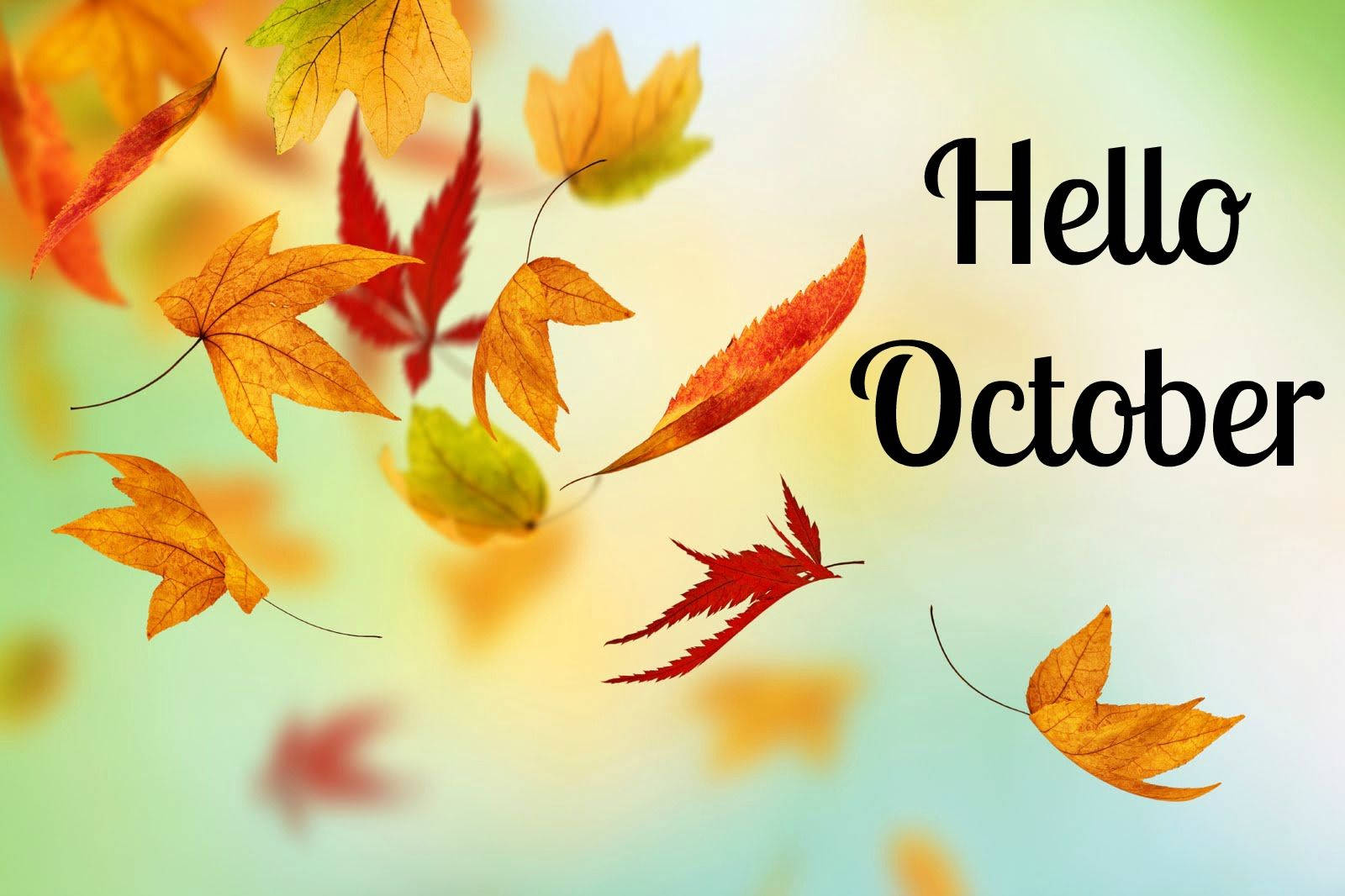 Falling Dried Leaves Hello October Wallpaper