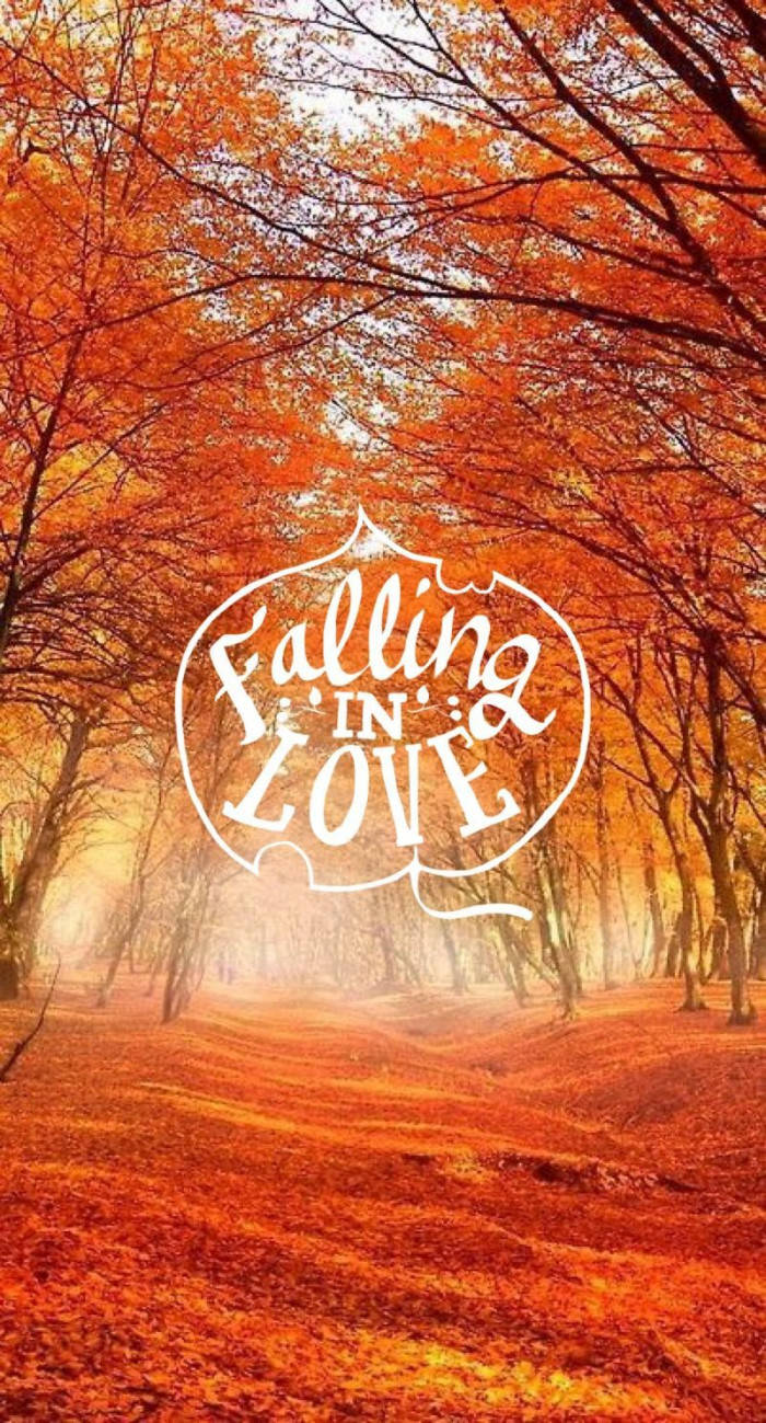 Falling In Love Fall Halloween Wallpaper