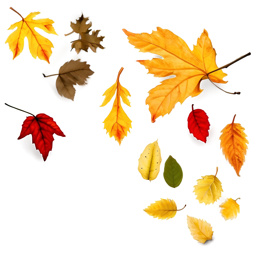 Falling Leaves B PNG