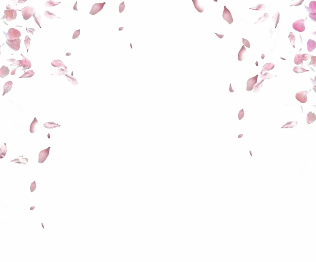 Falling Pink Petals Animation PNG