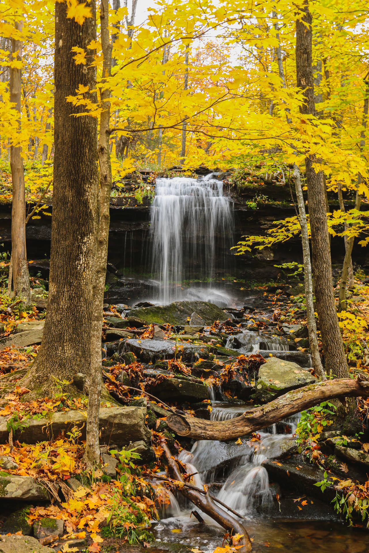 Falling Water In The Forest Wallpaper