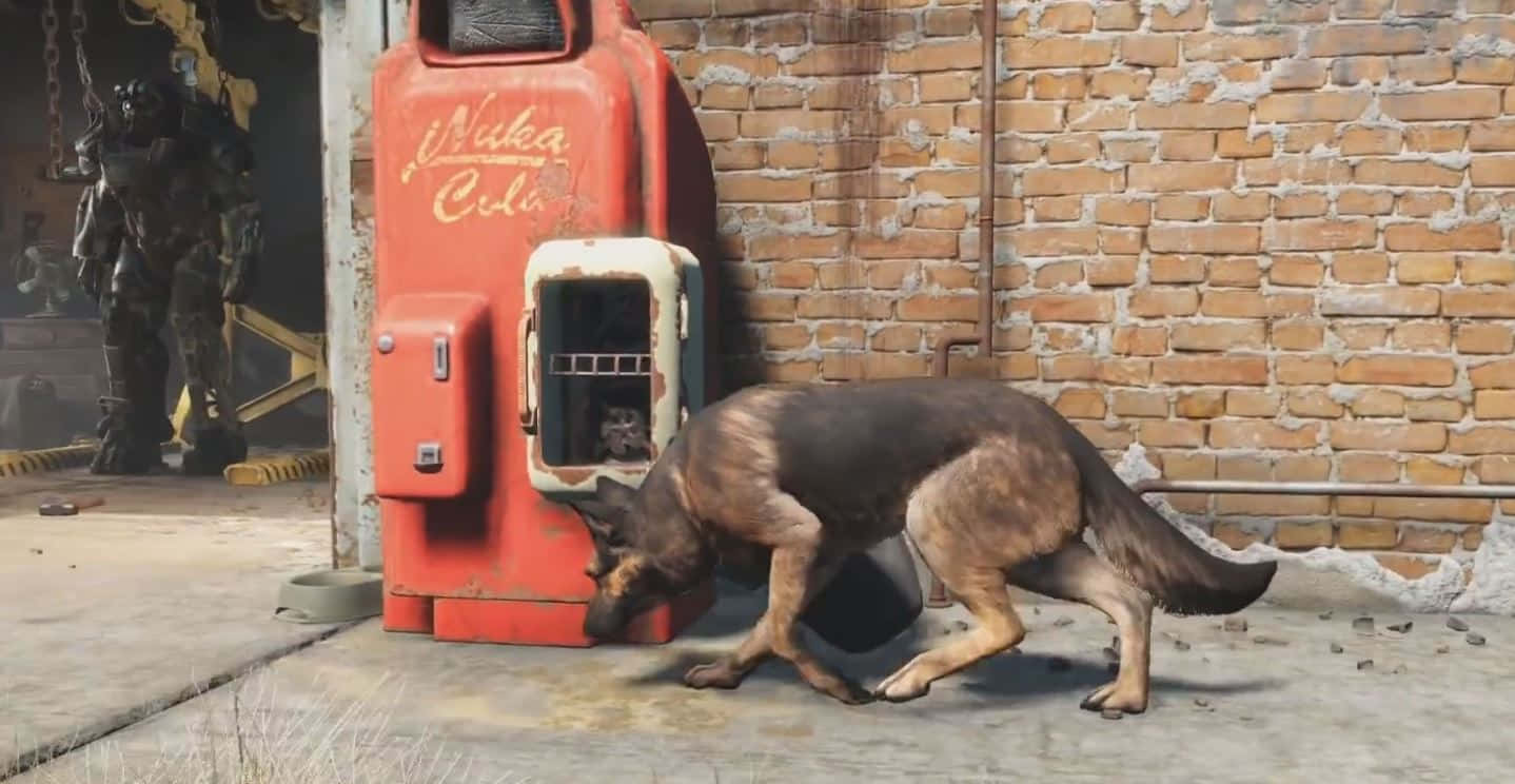 Dogmeat, the loyal companion in Fallout 4 Wallpaper