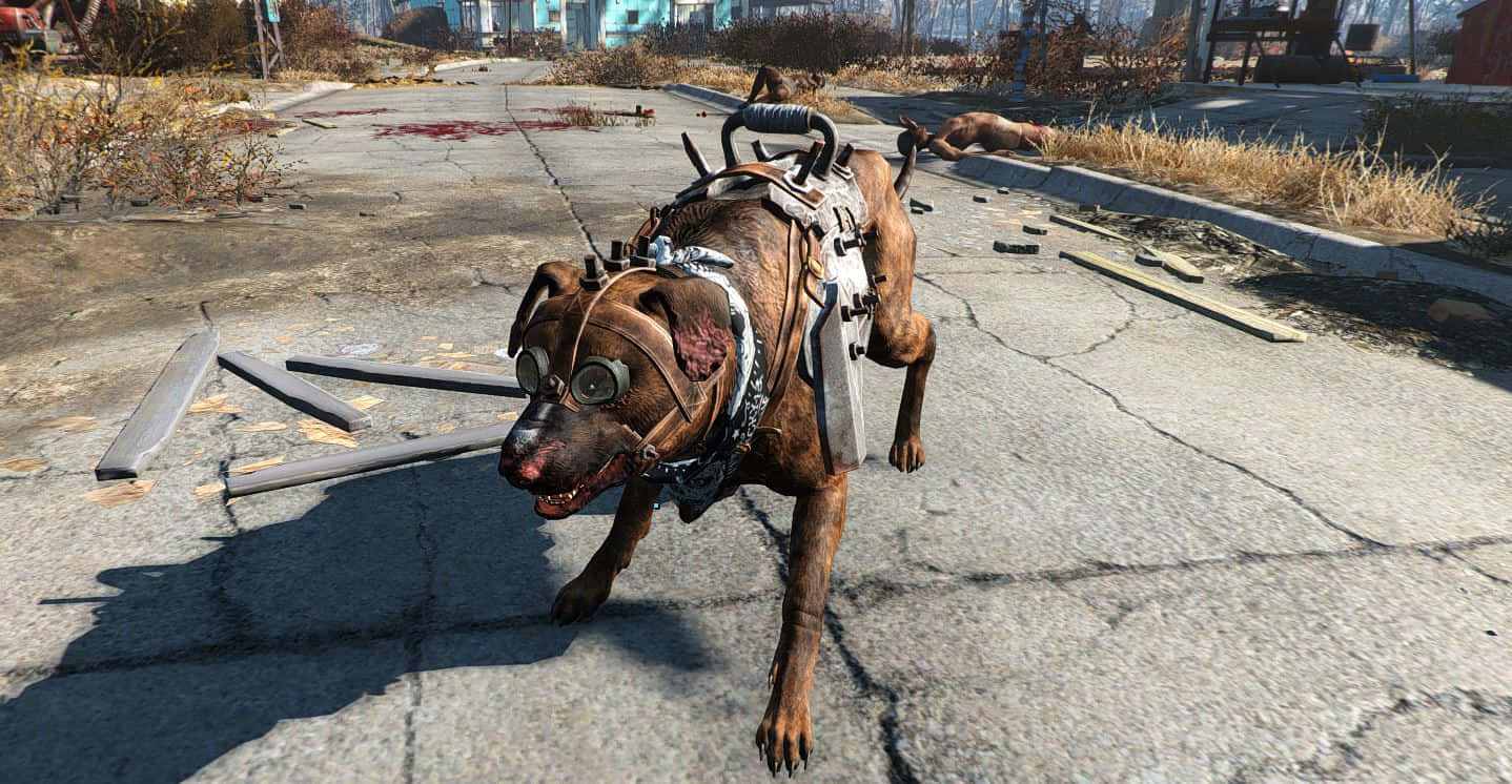 "Dogmeat the Loyal Companion in Fallout 4" Wallpaper