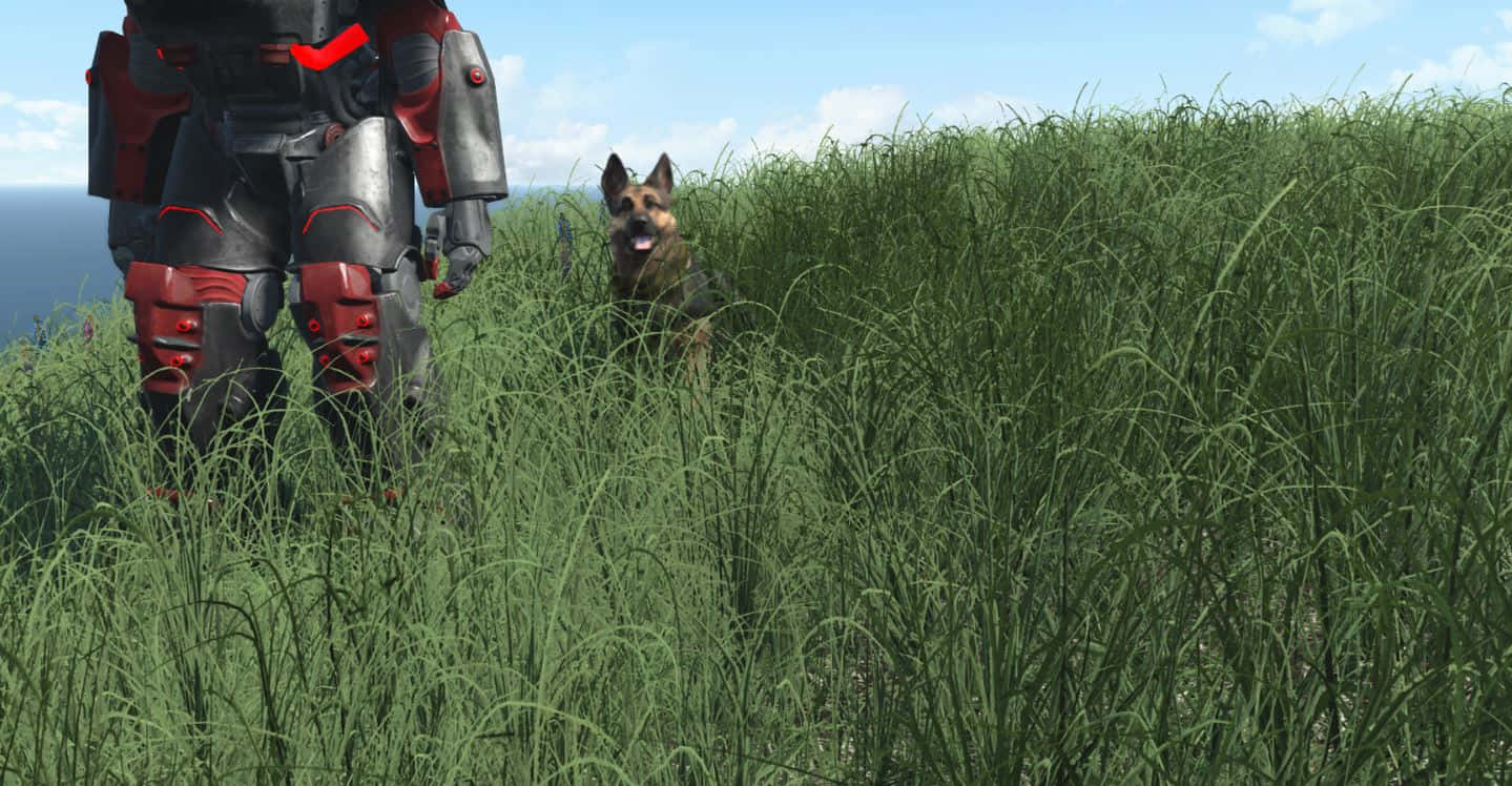 Faithful Companion in the Wasteland: Dogmeat from Fallout 4 Wallpaper