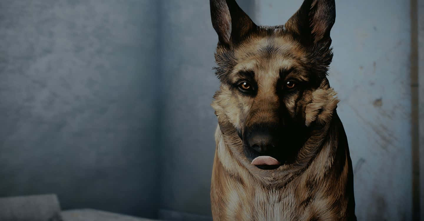 Download Dogmeat, the loyal canine companion in Fallout 4 Wallpaper ...