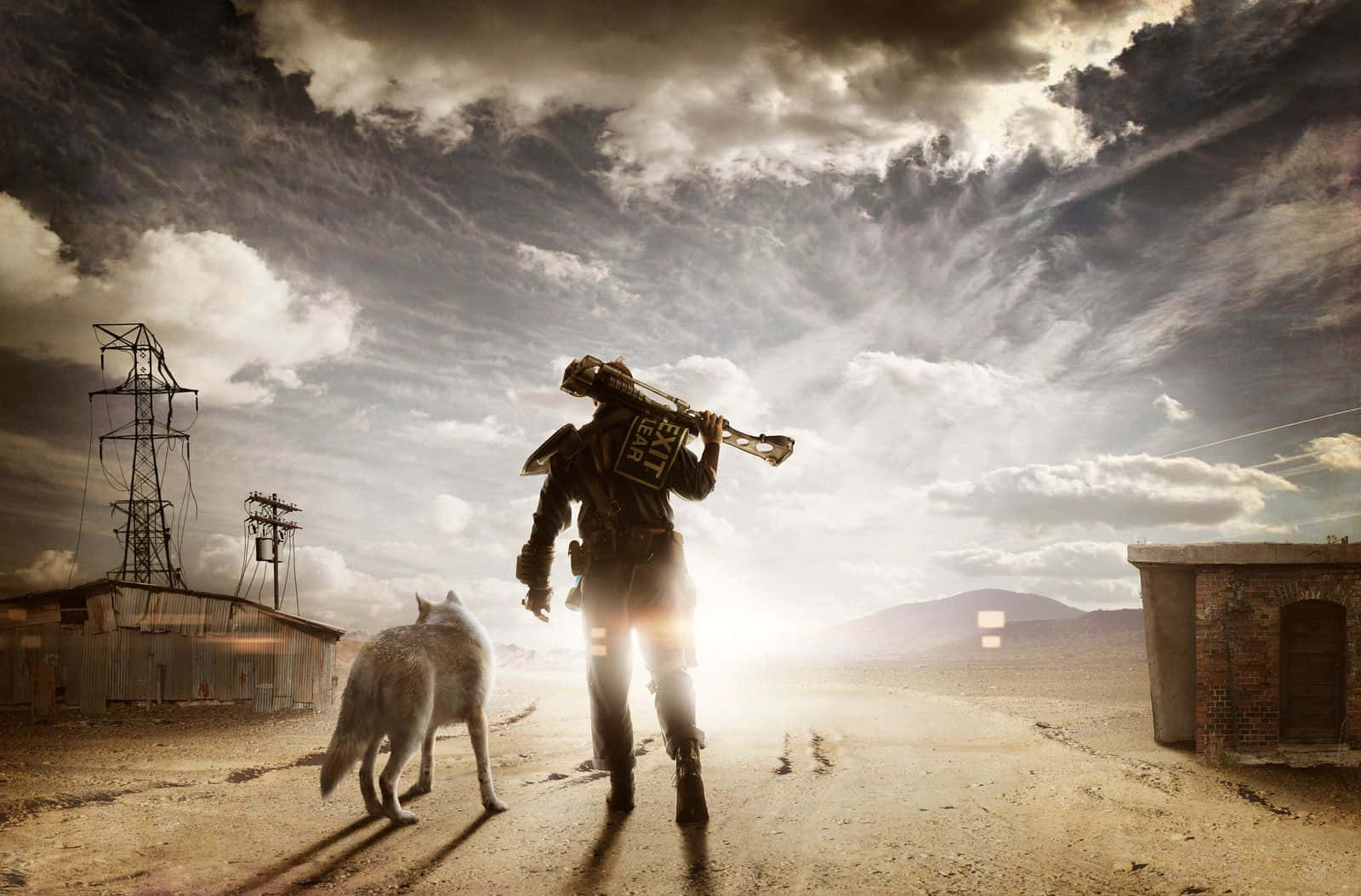 Dogmeat,el Leal Compañero Canino, En Fallout 4 Fondo de pantalla
