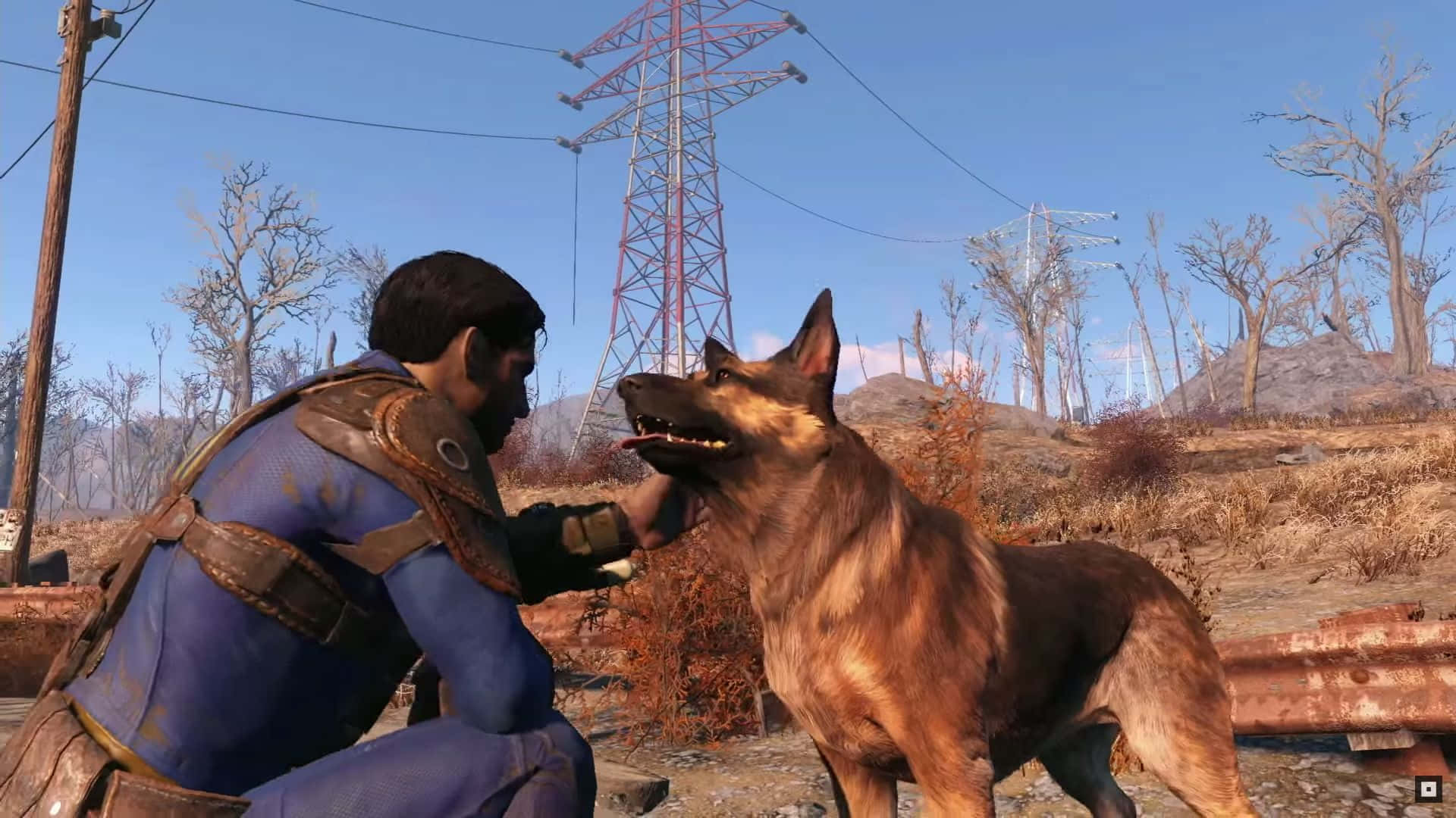 Fallout 4's Loyal Companion: Dogmeat Wallpaper