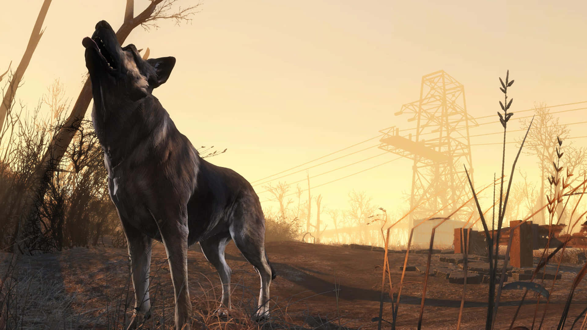 Trusty companion Dogmeat in Fallout 4 Wallpaper