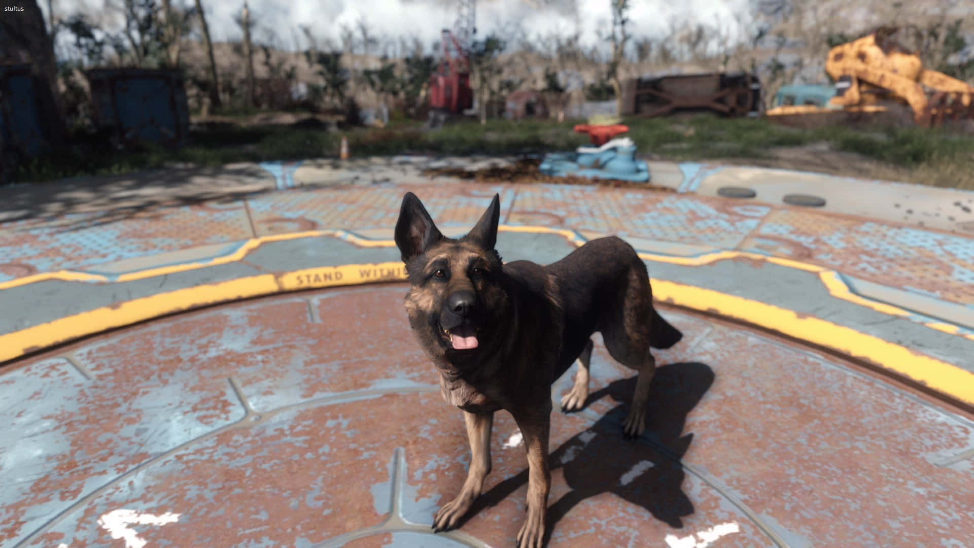 Loyal canine companion Dogmeat in the post-apocalyptic world of Fallout 4 Wallpaper