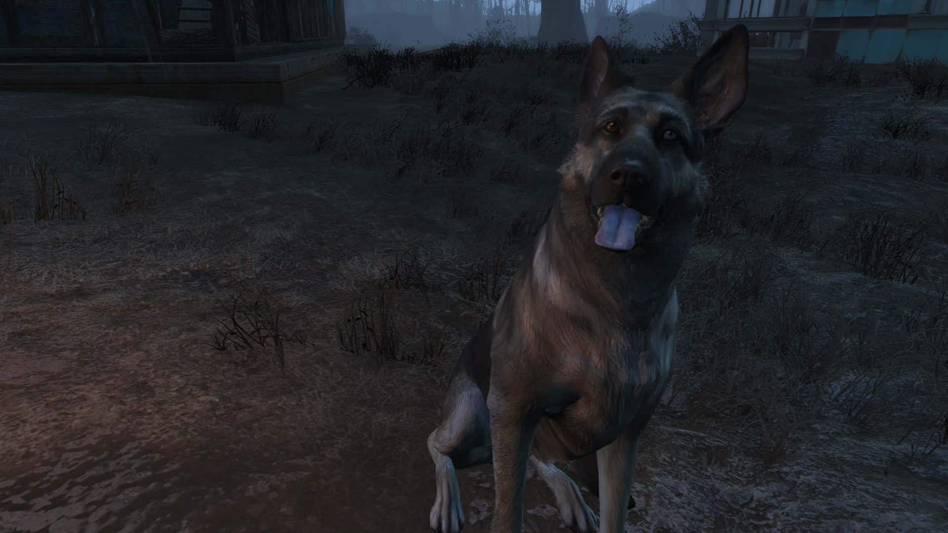 Fallout 4's Loyal Companion, Dogmeat, at Attention in the Wasteland Wallpaper