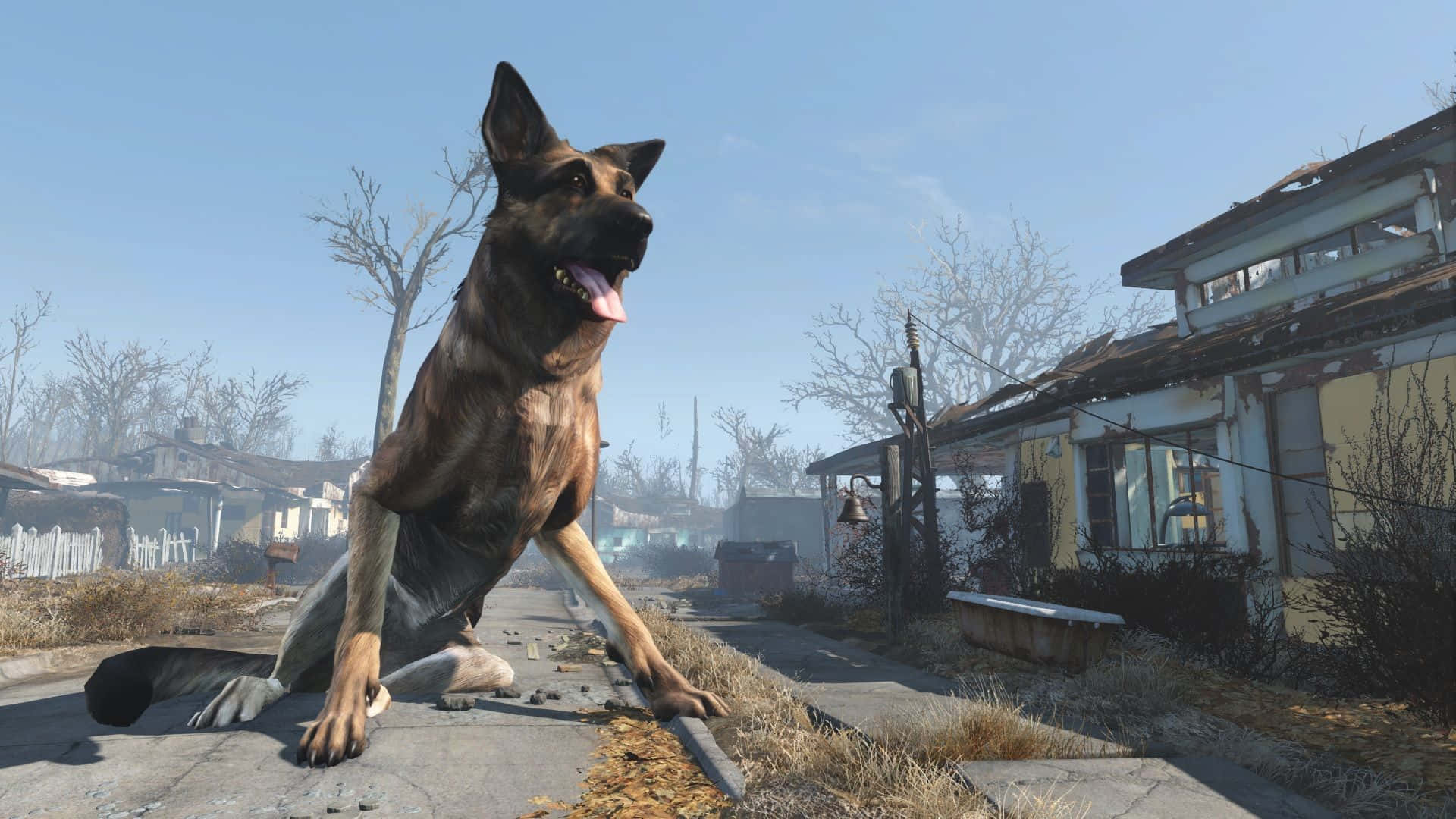 Elfiel Compañero De Fallout 4, Dogmeat. Fondo de pantalla