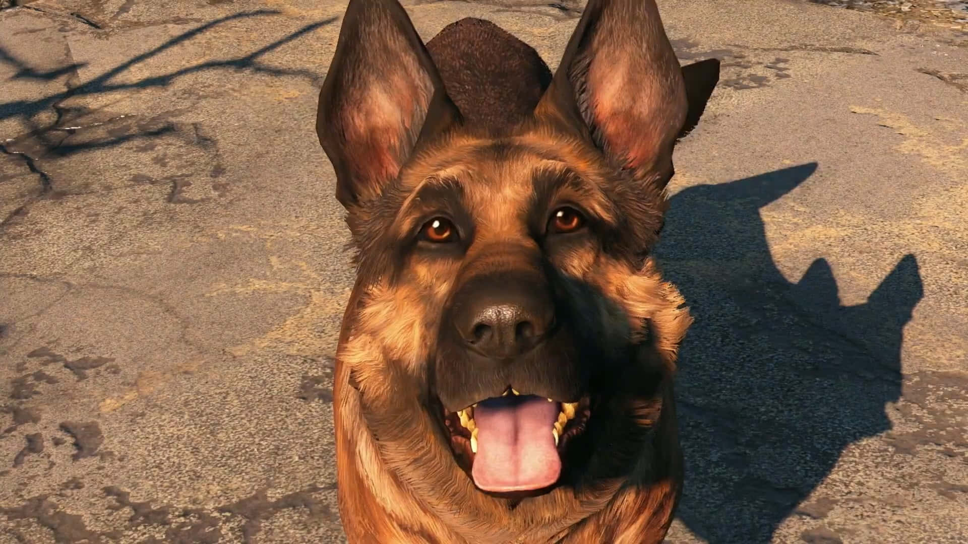 Fallout4 Dogmeat: Dogmeat Explorando El Páramo Post-apocalíptico. Fondo de pantalla