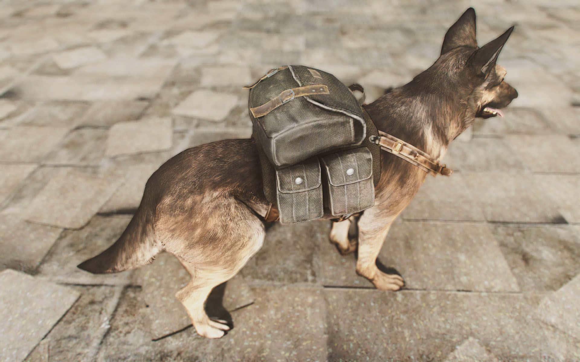 Loyal companion Dogmeat in Fallout 4 Wallpaper