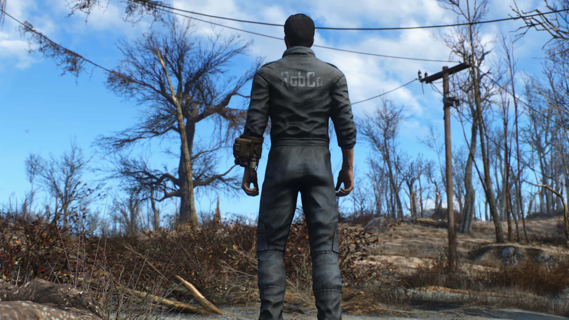 Épicopaisaje Del Yermo Capital De Fallout 4 Fondo de pantalla