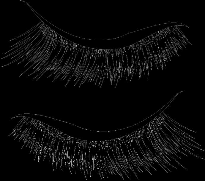 False Eyelashes Vector Illustration PNG