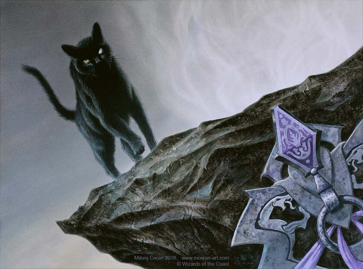 Familiar Black Cat Wallpaper
