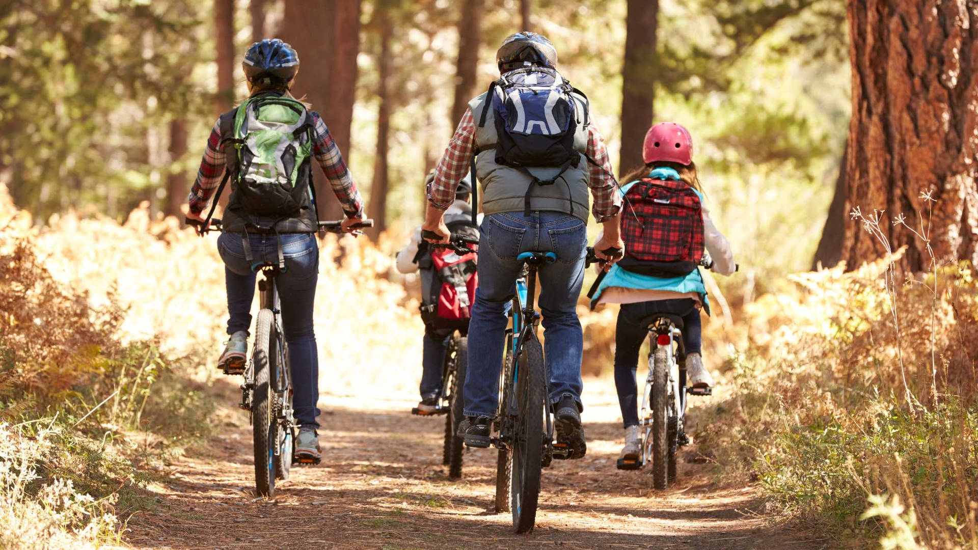 Family Bonding Activity Mountain Biking Wallpaper