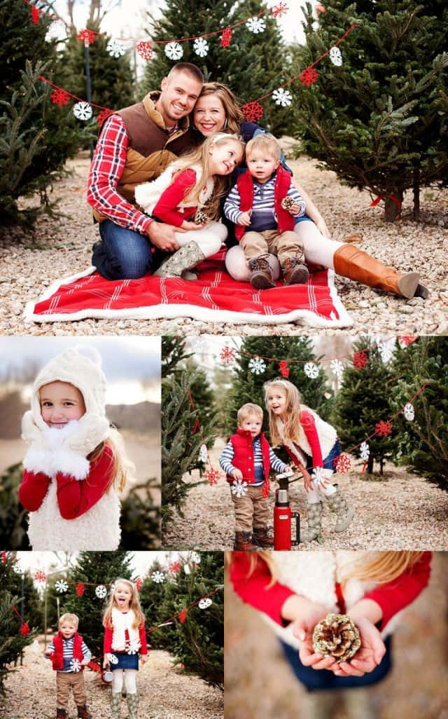 Christmas Tree Farm Family Portraits
