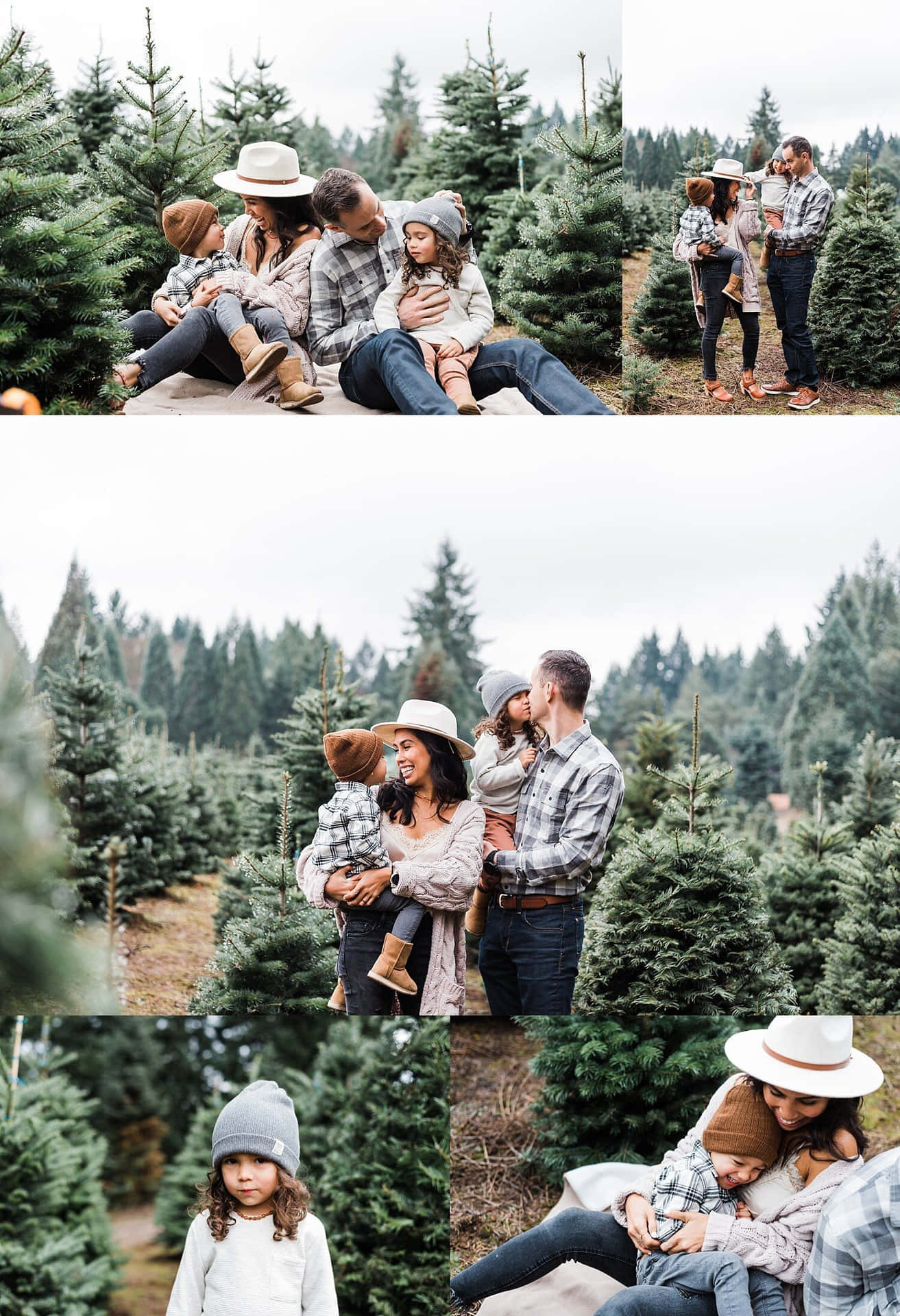 Familie jule træ Farm Fotografering skyde