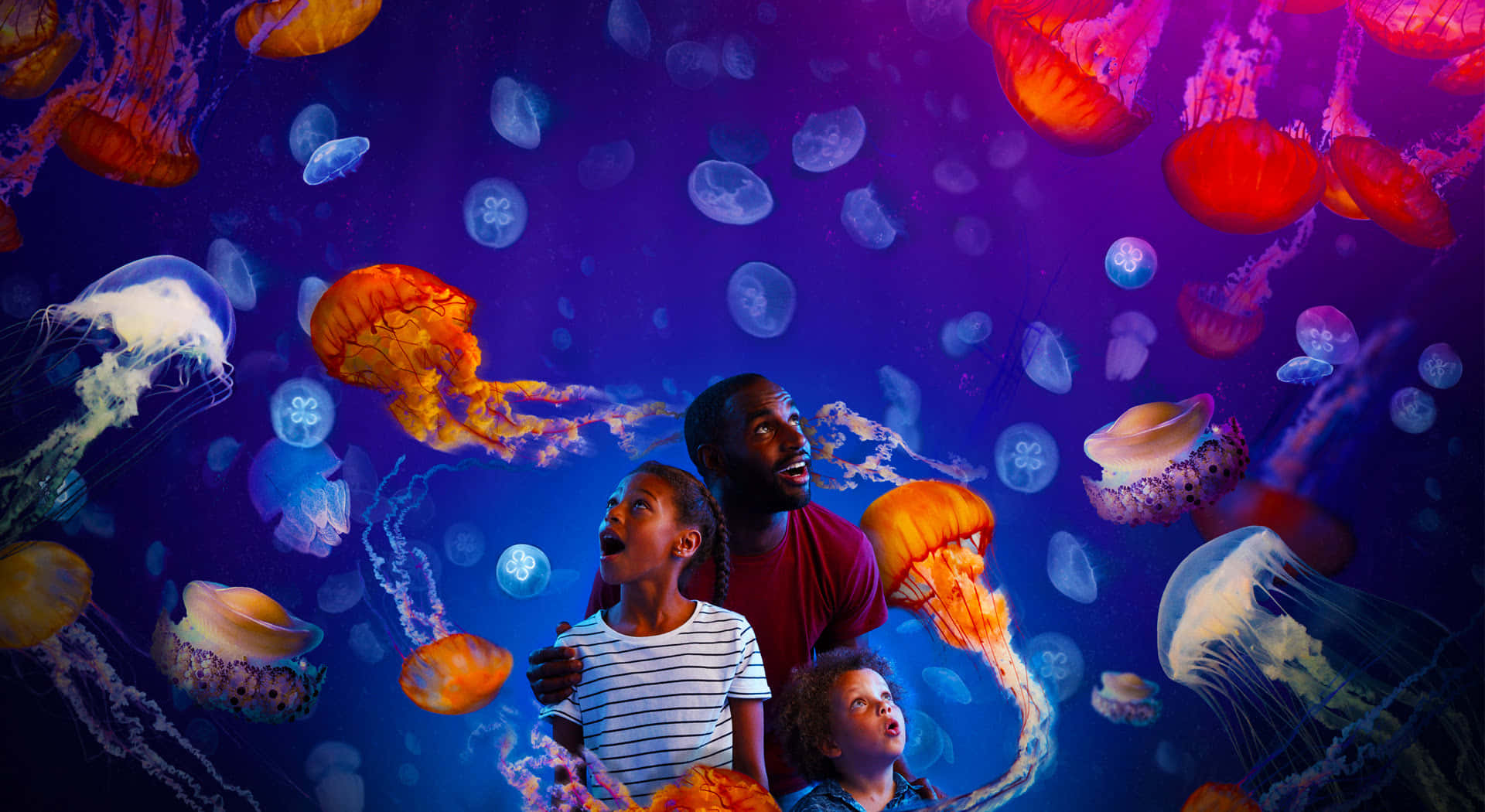 Family Enchanted By Jellyfish Aquarium Experience Wallpaper