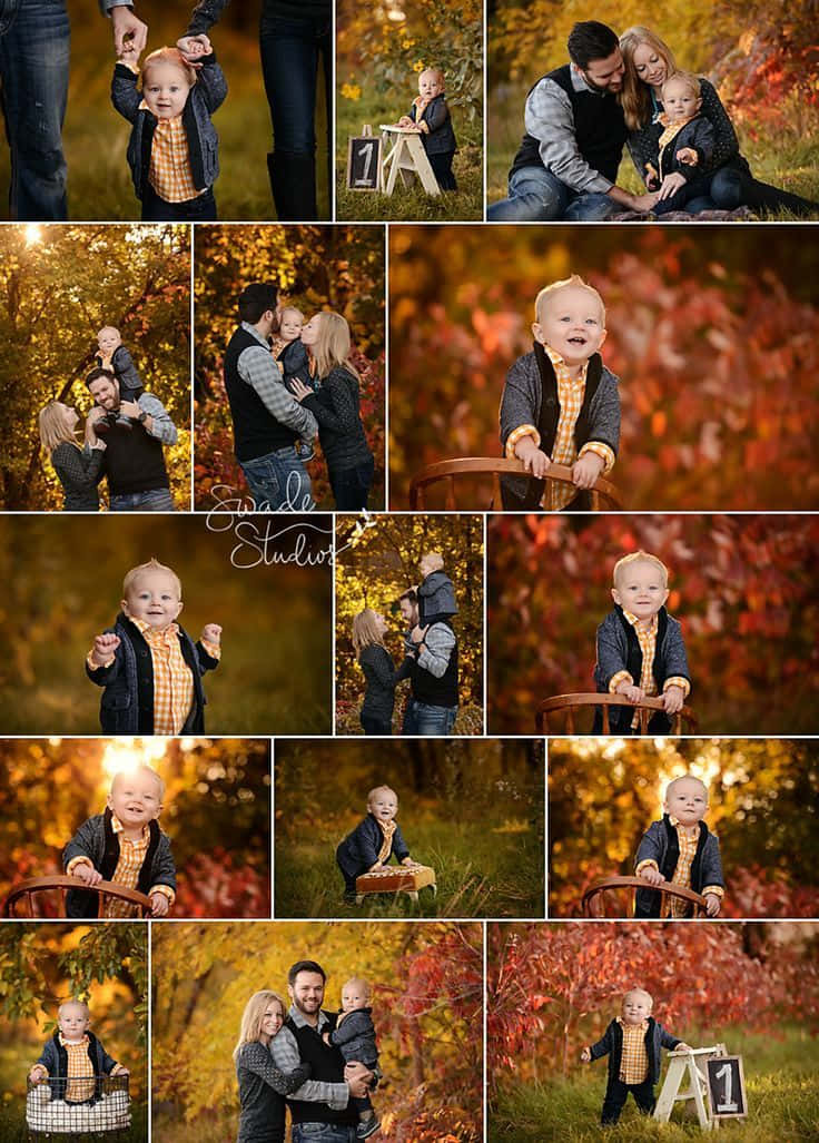 Family Fall With Maple Leaves Pictures