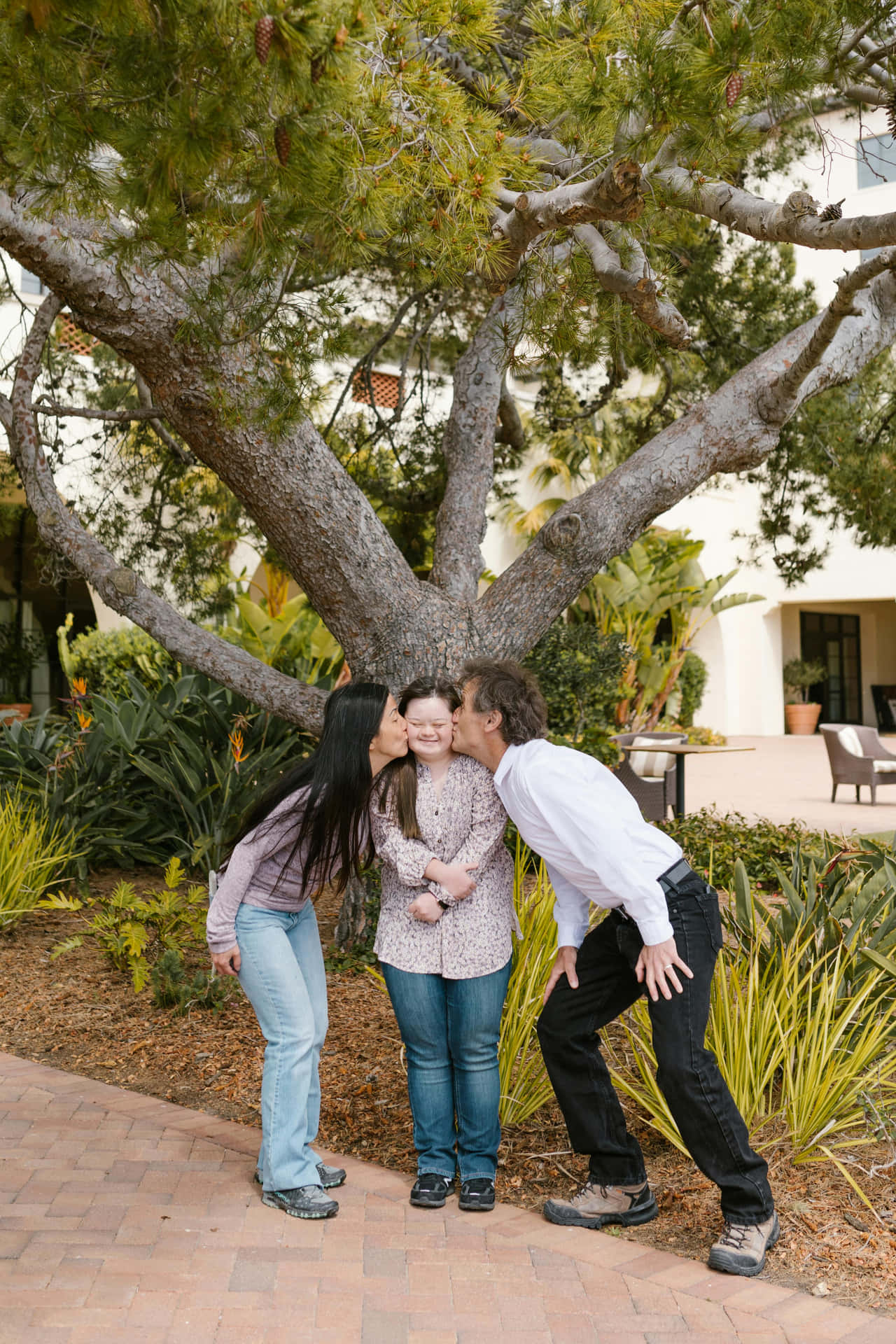 Family Kiss Under Pine Tree Wallpaper