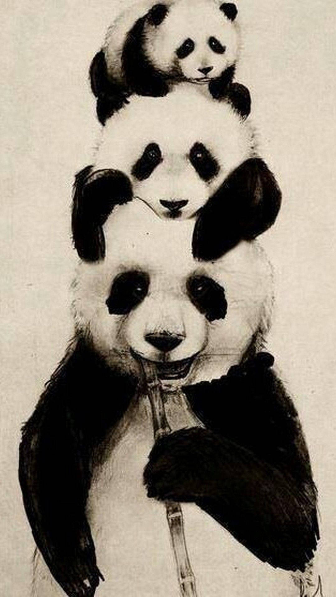 Family Panda Mobile Wallpaper