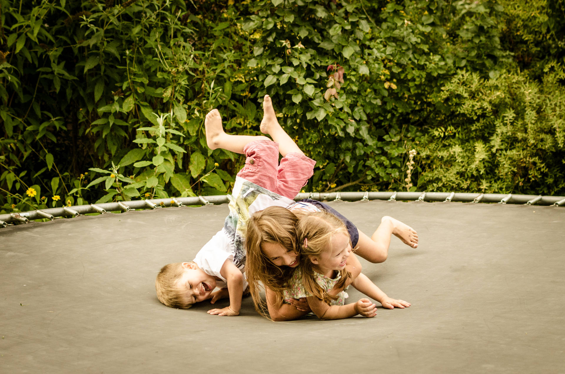 Family Playing Inside A Trampoline Wallpaper