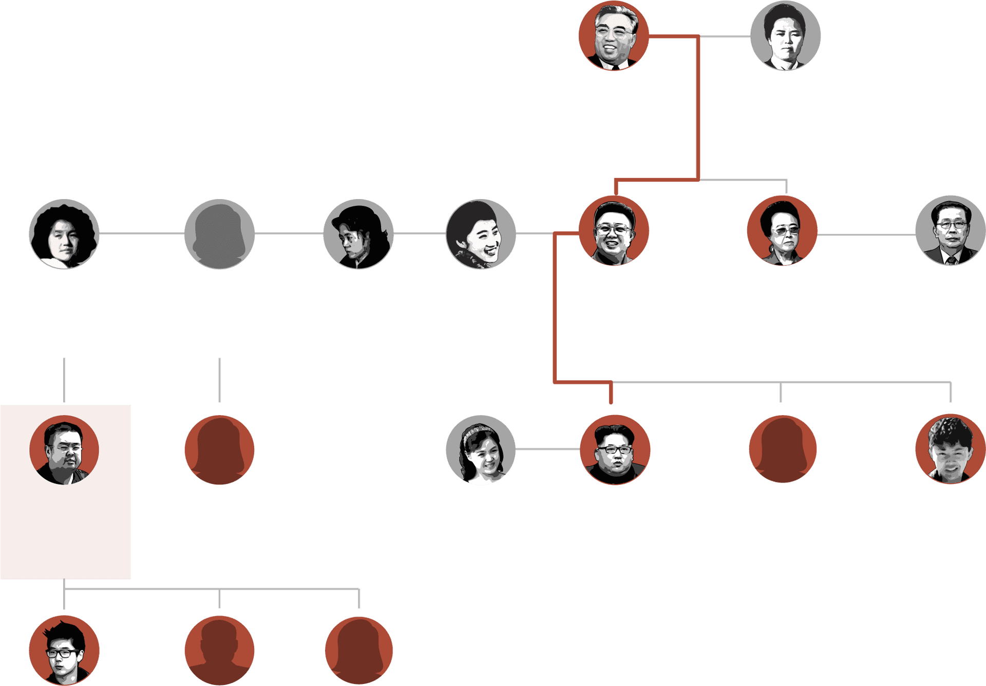 Family Tree Graphic Representation PNG