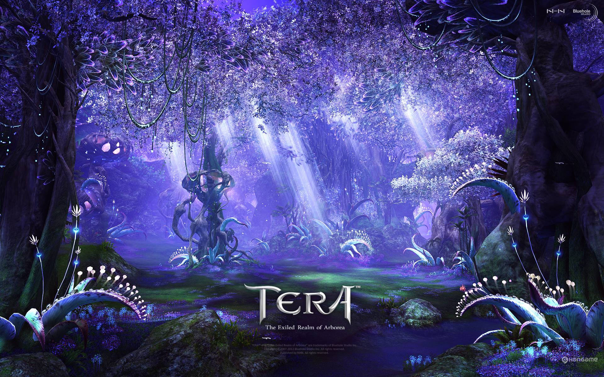 Famous Fantasy Adventure Game Tera Wallpaper