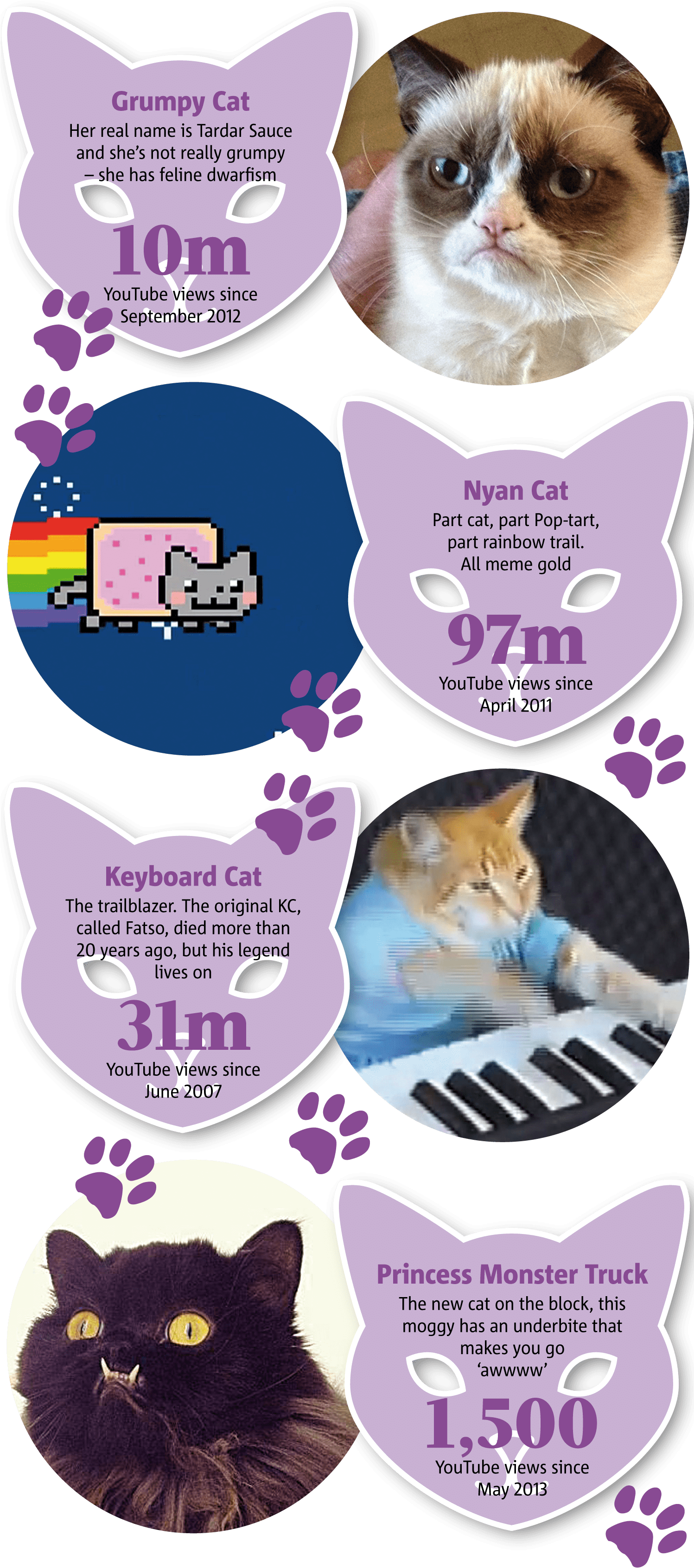 Famous Internet Cats Meme Infographic PNG