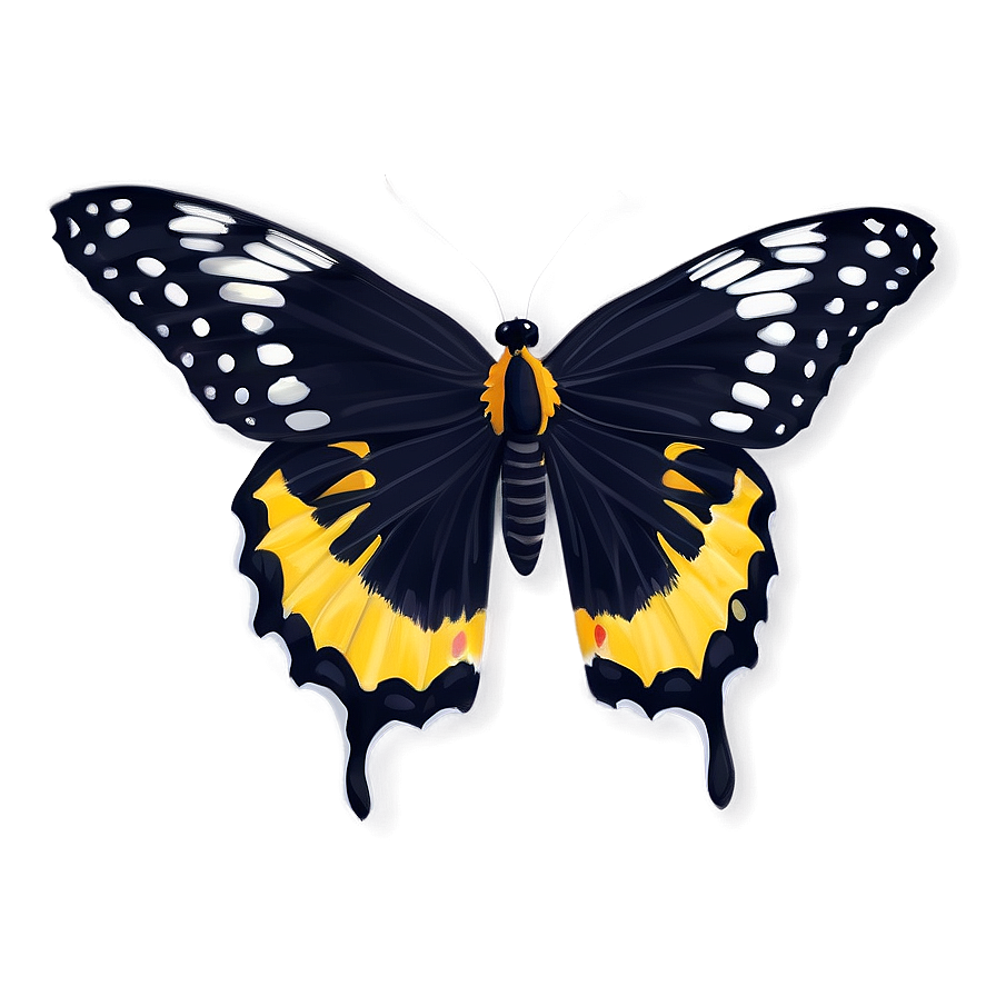 Fancy Black Butterfly Png 38 PNG