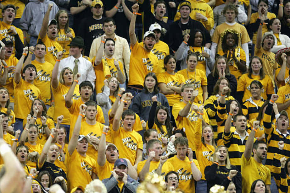 Fans Of The Missouri Tigers Cheer University Of Missouri Wallpaper