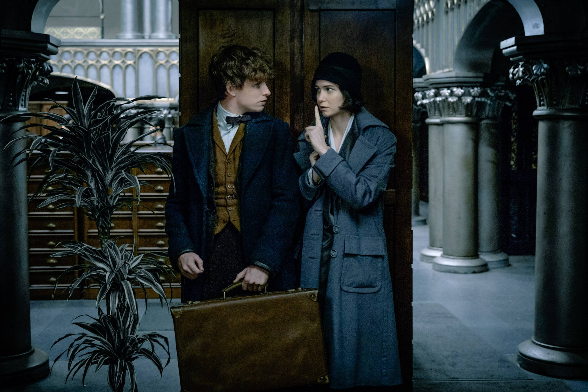 Fantastic Beasts And Where To Find Them Newt And Porpentina Sneaking Wallpaper