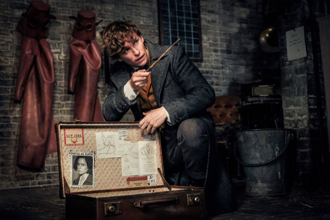 Fantastic Beasts And Where To Find Them Newt Scamander Briefcase Wallpaper