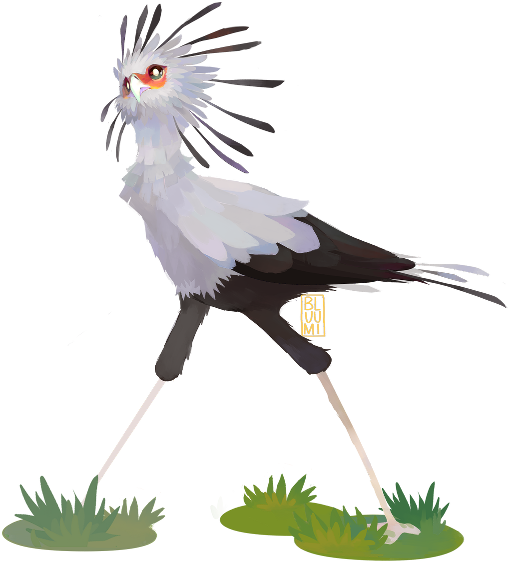 Fantastical Secretary Bird Illustration PNG