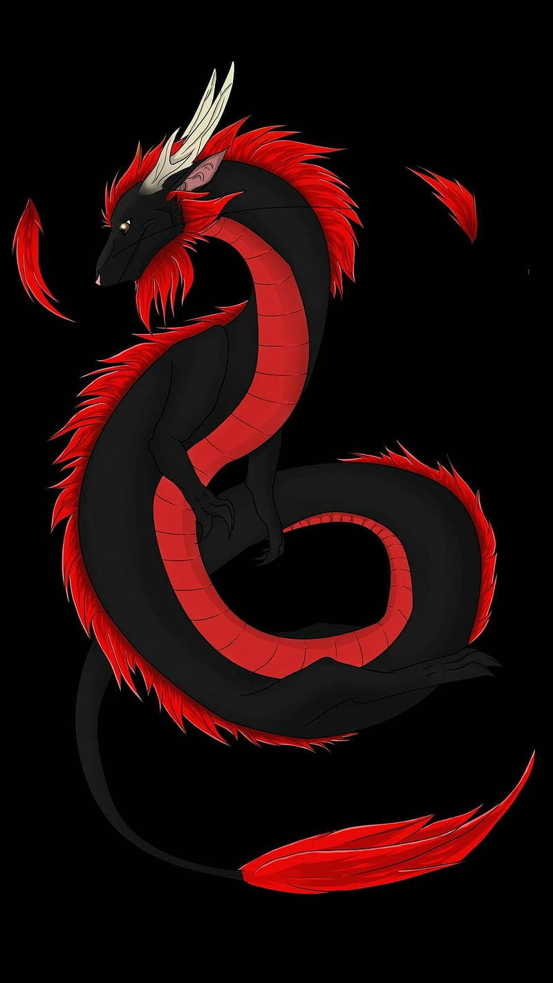 Fantasy Black Red Dragon Wallpaper