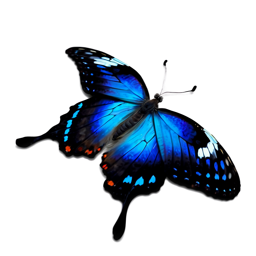 Fantasy Blue Butterfly Png 83 PNG